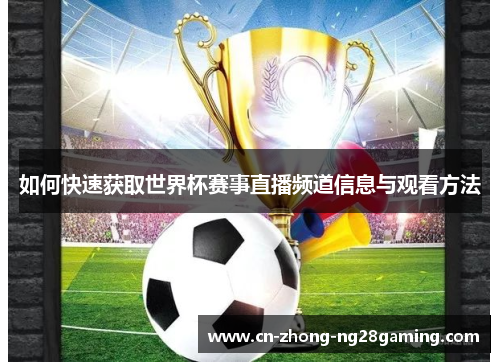 如何快速获取世界杯赛事直播频道信息与观看方法