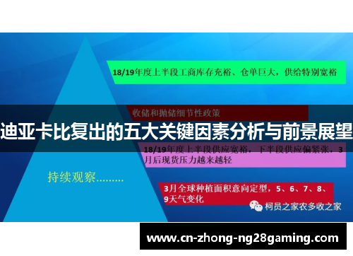 迪亚卡比复出的五大关键因素分析与前景展望