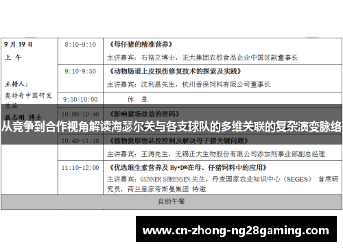 从竞争到合作视角解读海瑟尔关与各支球队的多维关联的复杂演变脉络 从竞争到合作视角解读海瑟尔关与各支球队的多维关联的复杂演变脉络